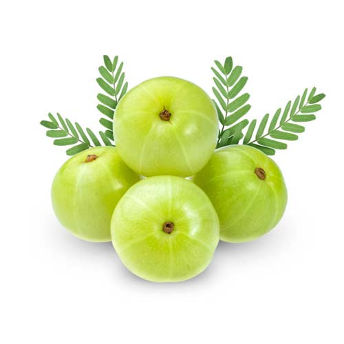 Gooseberry (Aamla)