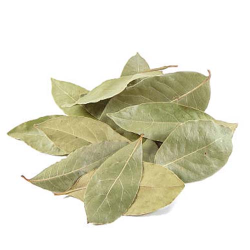 Bay Leaf (Tej Patta)