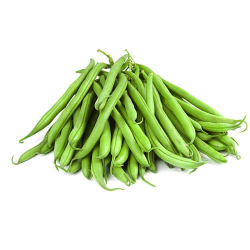 Beans ( Vigna Spp. )