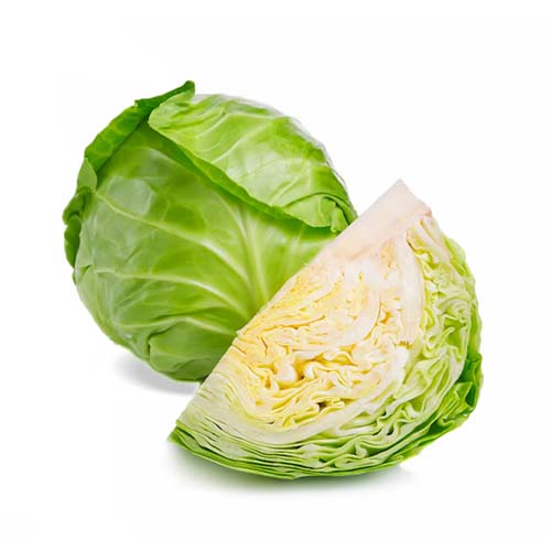 Cabbage