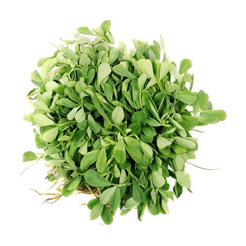 Fenugreek leaf (Methi)