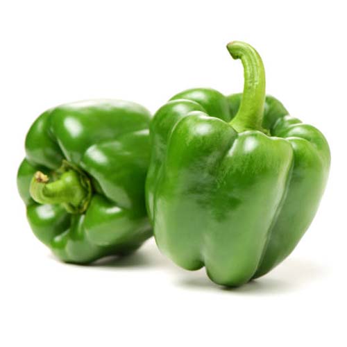 Green Pepper (Capsicum)