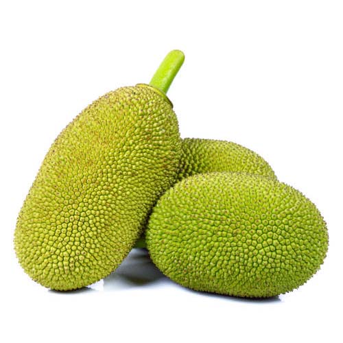 Jack Fruits