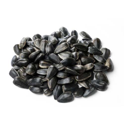 Sunflower Seeds